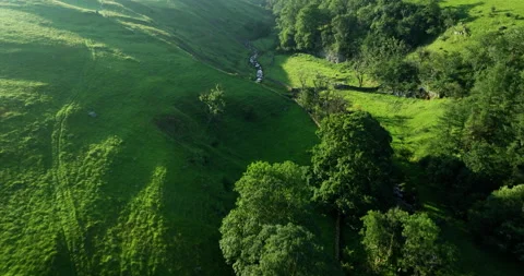 Lush valley full of trees Stock Footage 313918384