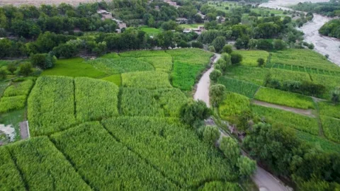A lush valley in Hesarak District Video stock 274536666