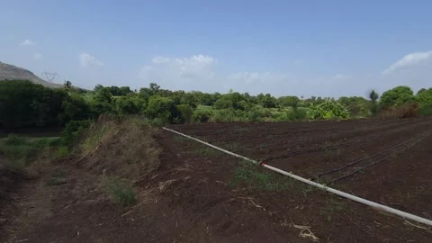 Lush vegetation and a river flank fertile farms with drip irrigation. This mount 库存影片 336853606