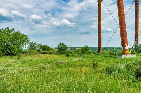 Lush vegetation at base of high-voltage electrical pylons Stock Photos