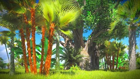 Lush vegetation in jungle Illustrazione stock