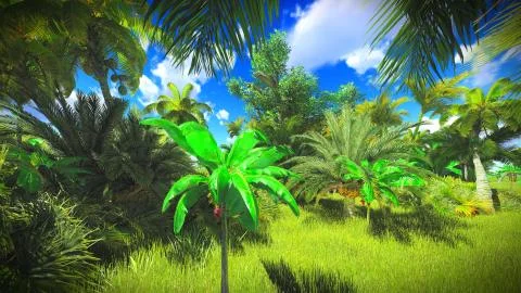Lush vegetation in jungle Illustrazione stock