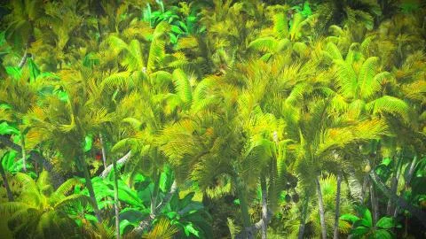 Lush vegetation in jungle Illustrazione stock