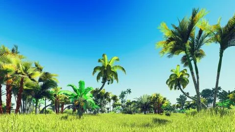 Lush vegetation in jungle Illustrazione stock