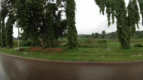 Lush Vegetation by Road co Stock Footage 115659618