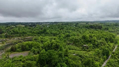 Lush Vibrant Forest - Split Rock Quarry - Syracuse, NY Fotos Stock