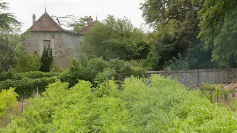 Lush Vineyard and Old Stone Country House in Historic Provins Vídeo Stock 340636056