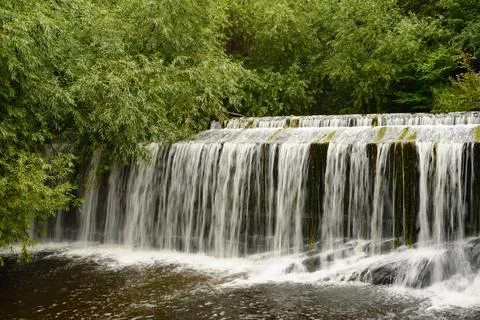 Lush waterfall cascading through dense green woodland beside calm river Stock Photos
