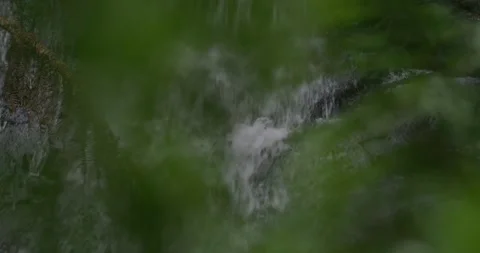 Lush Waterfall Covered By Vegetation, 8K Видео 332258372