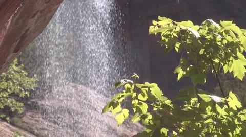 Lush Waterfall Video stock 4681872
