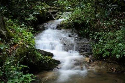 Lush Waterfall Stock Photos