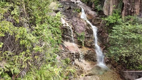 Lush Waterfall in Tropical Paradise Stock Footage 284147696