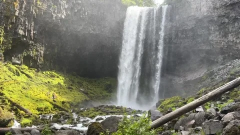 Lushes Green forest around Mount Hood Stock Footage 312653258