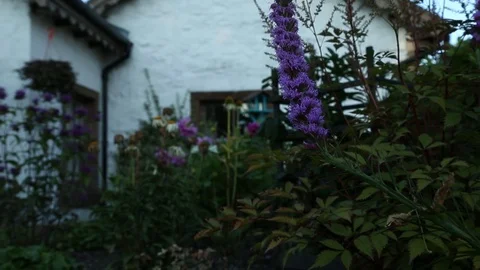 Luss Stock Footage 101340133