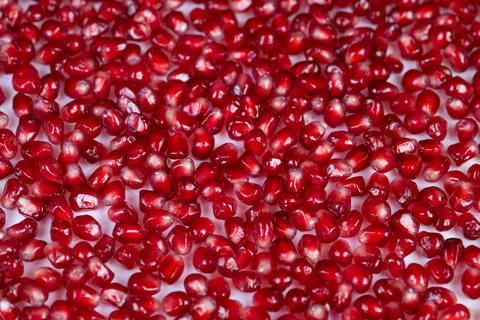Lustrous arils serve as natural extract inspiration in skincare design. Vibrant 库存照片
