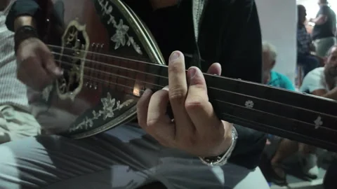 Lute Guitar Vidéo 308039390