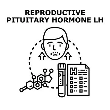 Luteinizing hormone lh level testing concept Stock Illustration