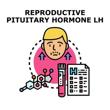 Luteinizing hormone lh level testing concept Stock Illustration