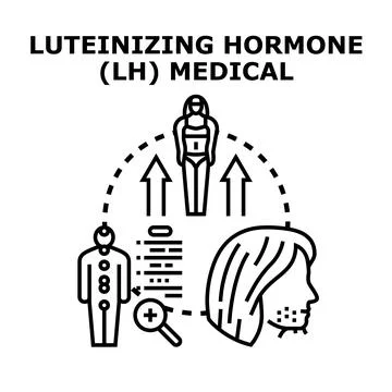 Luteinizing hormone medical diagnostic testing concept Illustrazione stock