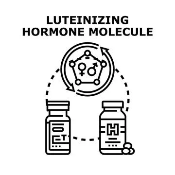 Luteinizing hormone molecule vector illustrating reproductive system health Stock Illustration