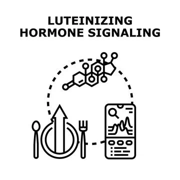 Luteinizing hormone signaling process and health monitoring Stockillustratie