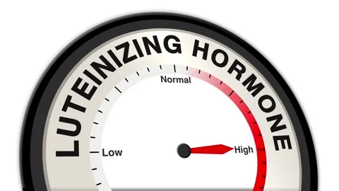 Luteinizing hormone Text or Word Level Low Normal High - Barometer Stock Footage 308595580