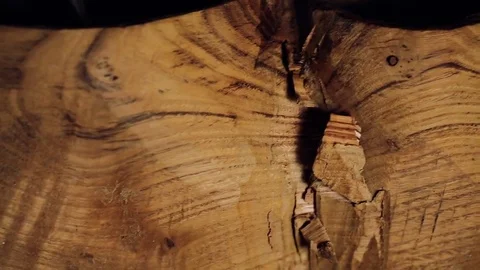 Luthier maker workshop Stock Footage 81490965