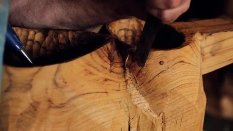 Luthier maker workshop Stock Footage 81490996