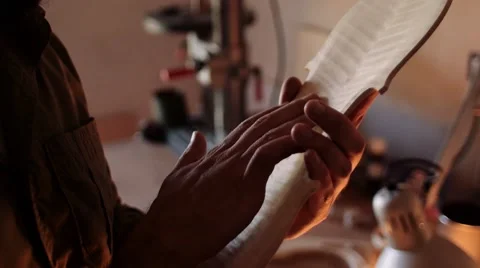 Luthier making a violin Stock Footage 56029814