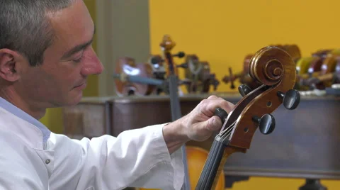 The lutier tune the four strings of cello Stock Footage 61914624