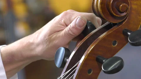The lutier tune the four strings of cello Stock Footage 61915038