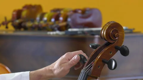 The lutier tune the four strings of cello 스톡 동영상 61915081
