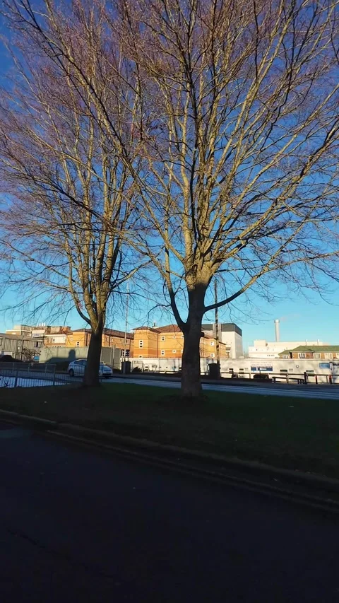 Luton City Street Vertical View During Ice Cold Sunny Day Stock Footage 326092859
