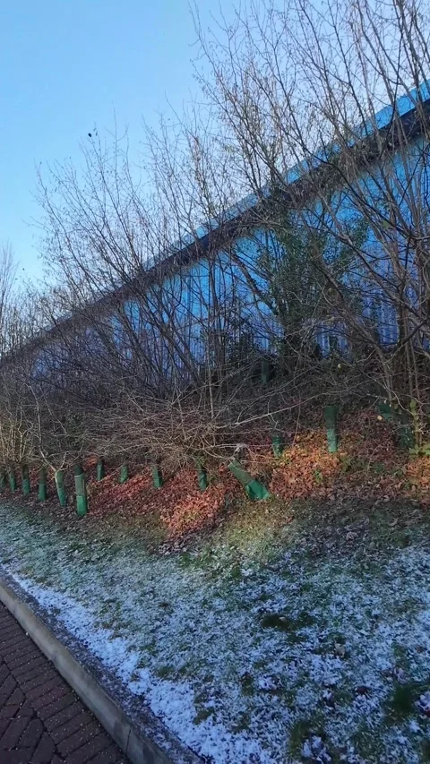 Luton City Street Vertical View During Ice Cold Sunny Day Stock Footage 326094501