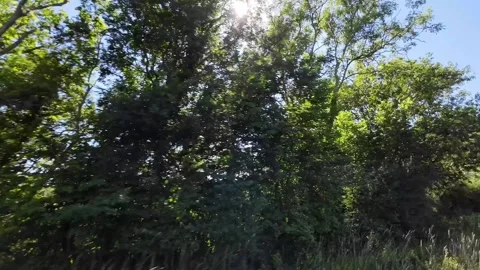 Luton to Oxford Window View of Motorways and Traffic Car Travel Stock Footage 314978604