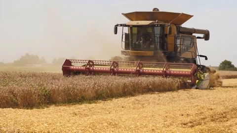 Lutsk, Ukraine - August 5,2020: Two modern combine harvesters with rotor Stock Footage 146993185