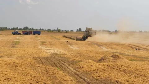 Lutsk, Ukraine - August 5,2020: Two modern combine harvesters with rotor Stock Footage 146993425