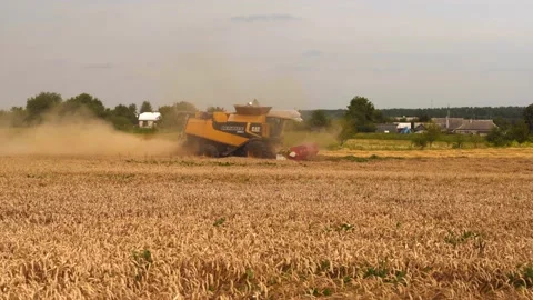Lutsk, Ukraine - August 5,2020: Two modern combine harvesters with rotor Stock Footage 147031363