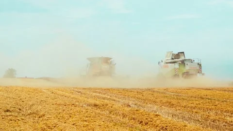 Lutsk, Ukraine - August 5,2020: Two modern combine harvesters with rotor Stock Footage 156574494