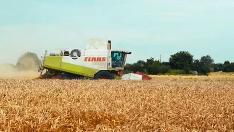 Lutsk, Ukraine - August 5,2020: Two modern combine harvesters with rotor Stock Footage 156574823