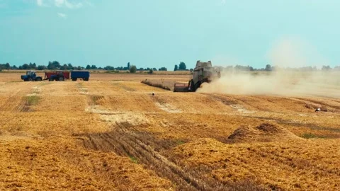 Lutsk, Ukraine - August 5,2020: Two modern combine harvesters with rotor Stock Footage 156575211