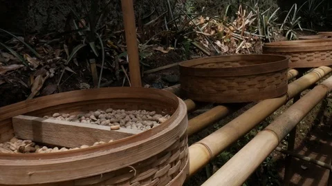 Luwak coffee, different stages, coffee beans presented in Balinese baskets Stock Footage 119836477