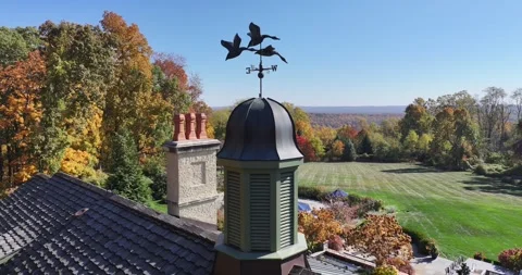 LUX Angular Roof Line Castle Wind Vine Roof Stock Footage 289146697