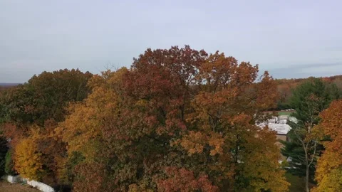 LUX Paramus NJ Fall Weather School home NYC Background 5 Stock Footage 272167145