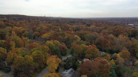 LUX Paramus NJ Fall Weather School home NYC Background 3 Stock Footage 272167175