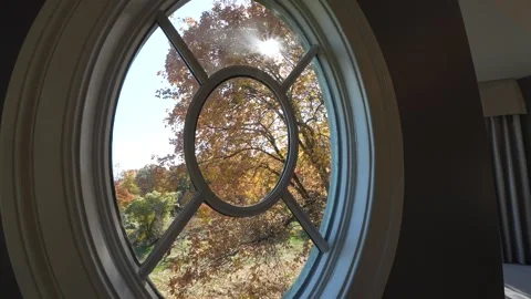 LUX Round Window with Fall Leaves and Sun Видео 288932225