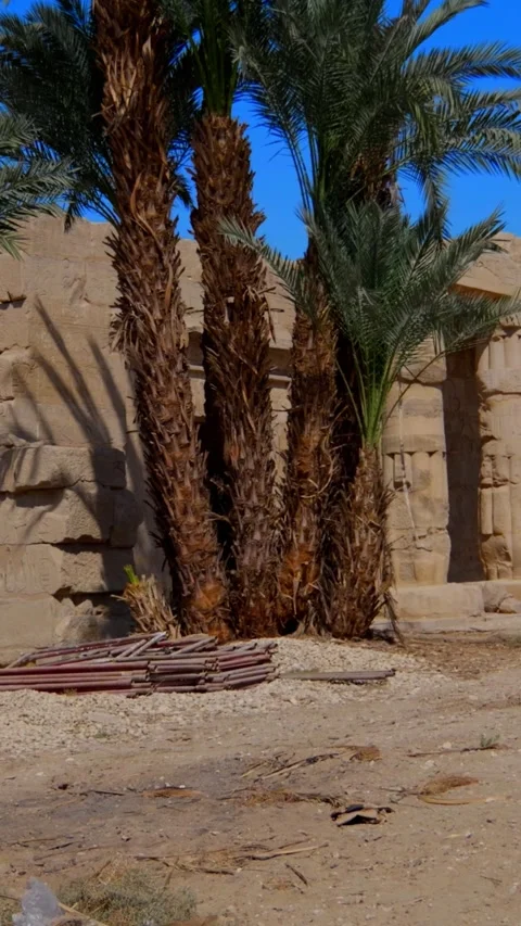 Luxor, Egypt -  February 4, 2026: Seti I mortuary temple. Stock Footage 337498787