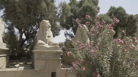 Luxor Temple Stock Footage 91696103