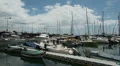 Luxuary yachts and boats in Funchal - Madeira HD Footage