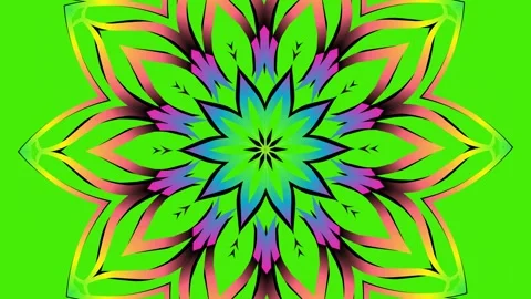 Luxurious batik flower line art pattern of indonesian culture Stock Footage 289549664